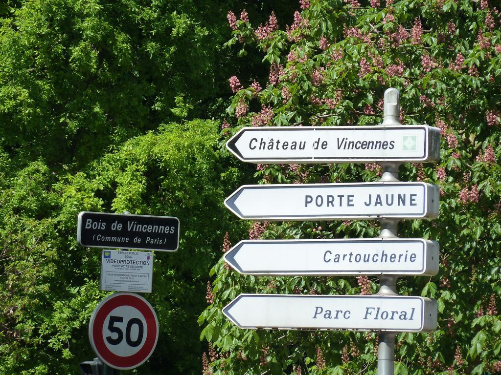 Studios Albri Nogent-sur-Seine Стая снимка