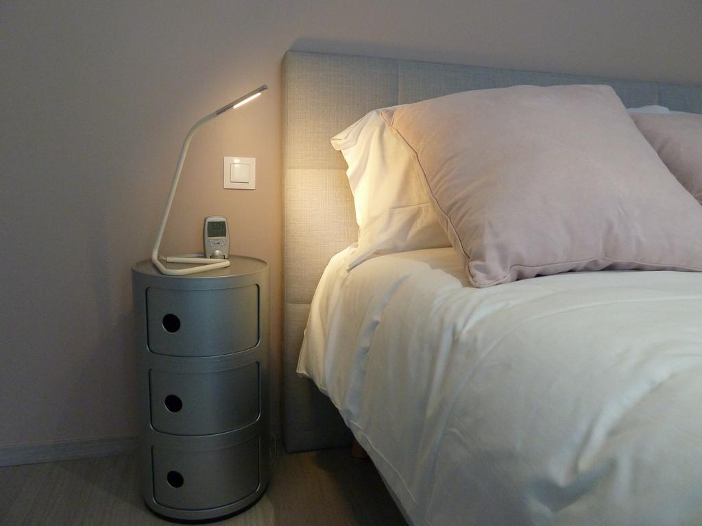 Studios Albri Nogent-sur-Seine Стая снимка